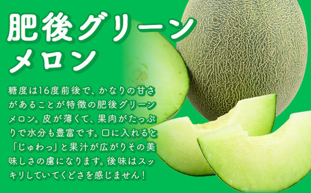 【先行予約】 メロン 肥後グリーンメロン 2玉 約 3kg ～ 4kg 株式会社Foody’s 食彩たかみ 《2026年5月下旬-7月下旬頃出荷》 熊本県 菊池市 フルーツ 果物 メロン 九州産 冷蔵 送料無料