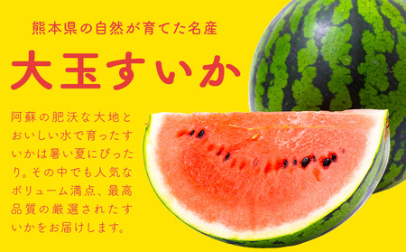 【先行予約】スイカ 大玉すいか 秀品 1玉 約 6kg ～ 9kg 株式会社Foody’s 食彩たかみ 《2026年5月下旬-7月下旬頃出荷》 熊本県 菊池市 フルーツ 果物 スイカ すいか 大玉 九州産 冷蔵 送料無料