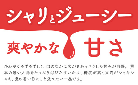 【先行予約】スイカ 大玉すいか 秀品 1玉 約 6kg ～ 9kg 株式会社Foody’s 食彩たかみ 《2026年5月下旬-7月下旬頃出荷》 熊本県 菊池市 フルーツ 果物 スイカ すいか 大玉 九州産 冷蔵 送料無料