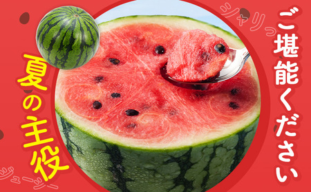 【先行予約】スイカ 小玉すいか 秀品 2玉 約 2kg ～ 3kg L ～ 3L 混合 株式会社Foody’s 食彩たかみ 《2026年5月下旬-7月下旬頃出荷》 熊本県 菊池市 フルーツ 果物 スイカ すいか 小玉 九州産 冷蔵 送料無料