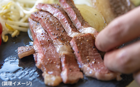 あか牛(褐毛和種)ロースステーキ (リブまたはサーロイン) 250g×2 500g 熊本県産 肉 和牛 牛肉 赤牛 あかうし リブロース サーロイン 冷凍 《2026年1月中旬-3月末頃出荷》送料無料