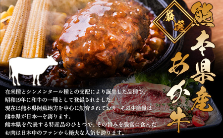 ステーキマニア監修 熊本県産あか牛100%生ハンバーグ 140g×13個入り 合計1820g 1.82kg以上《2026年1月中旬-3月末頃出荷》熊本県産あか牛 バイキングベーカリー 冷凍