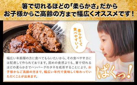 ステーキマニア監修 熊本県産あか牛100%生ハンバーグ 140g×13個入り 合計1820g 1.82kg以上《2026年1月中旬-3月末頃出荷》熊本県産あか牛 バイキングベーカリー 冷凍