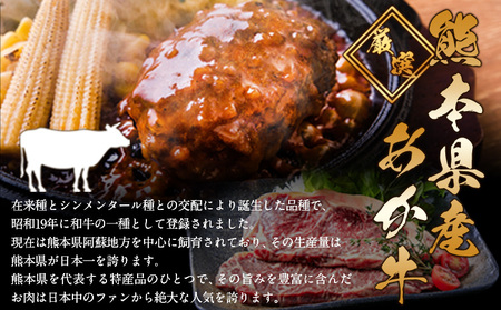 ステーキマニア監修 熊本県産あか牛100%生ハンバーグ 140g×26個入り 《2026年1月中旬-3月末頃出荷》熊本県産あか牛 バイキングベーカリー 冷凍