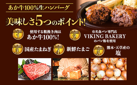 ステーキマニア監修 熊本県産あか牛100%生ハンバーグ 140g×26個入り 《2026年1月中旬-3月末頃出荷》熊本県産あか牛 バイキングベーカリー 冷凍