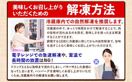 ステーキマニア監修 熊本県産あか牛 100% 生ハンバーグ 140g×39個入り《2026年1月中旬-3月末頃出荷》熊本県産あか牛 冷凍