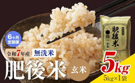 【6ヶ月定期便】熊本県産 肥後米 無洗米 玄米 5kg 1袋5kg 米 お米 令和7年産 九州産 熊本県産 ブレンド米 送料無料《お申込み翌月に出荷予定》玄米 無洗米 米