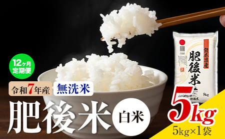【12ヶ月定期便】熊本県産 肥後米 無洗米 白米 5kg 1袋5kg 米 お米 令和7年産 九州産 熊本県産 ブレンド米 送料無料《お申込み翌月に出荷予定》 無洗米 白米 米