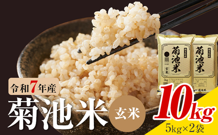 令和7年産 熊本県産 菊池米 玄米 10kg 1袋5kg 株式会社くまもとごはん 《30日以内に出荷予定(土日祝除く)》米 お米 令和7年産 九州産 熊本県産  送料無料 25,900円