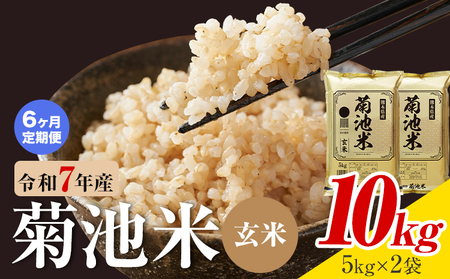 【6ヶ月定期便】熊本県産 菊池米 玄米 10kg 1袋5kg 米 お米 令和7年産 九州産 熊本県産 送料無料《お申込み翌月に出荷予定》玄米 米