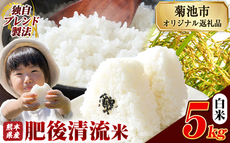 熊本県産 肥後清流米 白米 5kg ブレンド米《7-14日以内に出荷予定(土日祝除く)》 熊本県産 ふるさと納税 精米 米 こめ ふるさとのうぜい コメ お米 おこめ