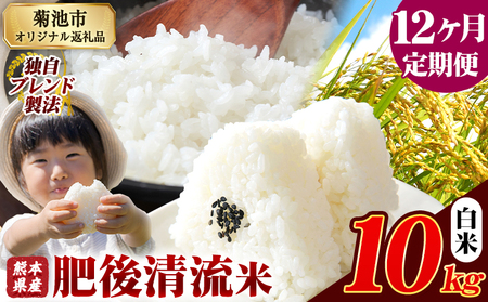【12ヶ月定期便】熊本県産 肥後清流米 白米 10kg ブレンド米《お申込み翌月から出荷》 熊本県産 ふるさと納税 精米 米 こめ ふるさとのうぜい コメ お米 おこめ