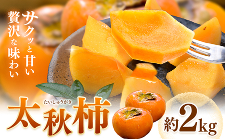 【先行予約】柿 太秋柿 たいしゅうがき 約2kg 日本フルーツ株式会社《2026年9月上旬-10月下旬頃出荷》熊本県 菊池市  秋の味覚 果物 くだもの フルーツ デザート