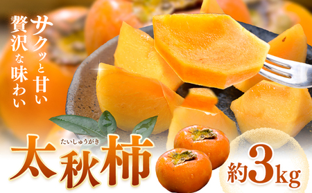 【先行予約】柿 太秋柿 たいしゅうがき 約3kg 日本フルーツ株式会社《2026年9月上旬-10月下旬頃出荷》熊本県 菊池市 秋の味覚 果物 くだもの フルーツ デザート
