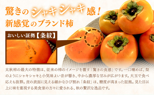 【先行予約】柿 太秋柿 たいしゅうがき 約3kg 日本フルーツ株式会社《2026年9月上旬-10月下旬頃出荷》熊本県 菊池市 秋の味覚 果物 くだもの フルーツ デザート