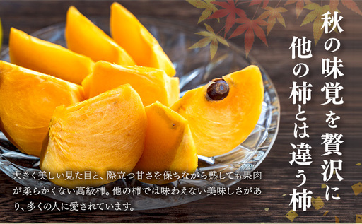 【先行予約】柿 太秋柿 たいしゅうがき 約3kg 日本フルーツ株式会社《2026年9月上旬-10月下旬頃出荷》熊本県 菊池市 秋の味覚 果物 くだもの フルーツ デザート