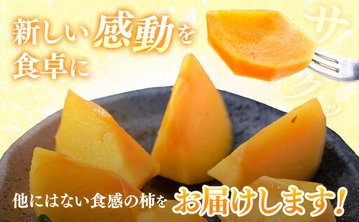 【先行予約】柿 太秋柿 たいしゅうがき 約3kg 日本フルーツ株式会社《2026年9月上旬-10月下旬頃出荷》熊本県 菊池市 秋の味覚 果物 くだもの フルーツ デザート