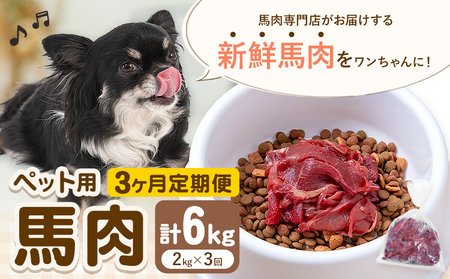 【3ヶ月定期便】ペット用馬肉 2kg × 3回 計6kg 五右衛門フーズ《申込月の翌月から出荷開始》 ペット用 犬用 肉 馬肉 熊本県 菊池市 11,700円