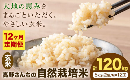 【12ヶ月定期便】令和7年産 高野さんちの自然栽培米 玄米 計120kg(5kg×2袋/月×12回) 《通常パッケージ》株式会社有機農場《お申し込み月の翌月から出荷開始》熊本県 菊池市 米 お米 ヒノヒカリ ひのひかり 自然栽培米 七城物語 熊本県産