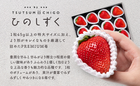PREMIUMイチゴ 12玉 1玉45g以上 ひのしずく いちご イチゴ 苺《2026年3月発送予定》ヴァリアス株式会社 果物 くだもの フルーツ 希少 ギフト プレゼント 贈り物 国産 九州産 熊本県 菊池市 送料無料