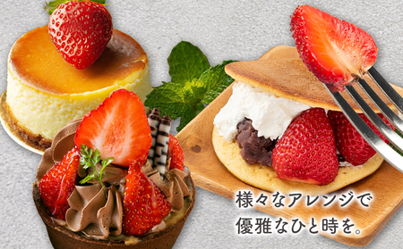 PREMIUMイチゴ 12玉 1玉45g以上 ひのしずく いちご イチゴ 苺《2026年3月発送予定》ヴァリアス株式会社 果物 くだもの フルーツ 希少 ギフト プレゼント 贈り物 国産 九州産 熊本県 菊池市 送料無料