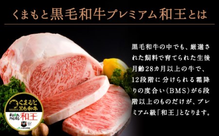 熊本県産 黒毛和牛 サーロイン ステーキ 計400g（200g×2） 国産 牛肉