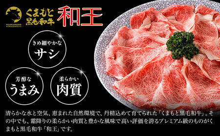 熊本県産 黒毛和牛 サーロイン ステーキ 計400g(100g×4)《90日以内に出荷予定(土日祝除く)》 国産 牛肉