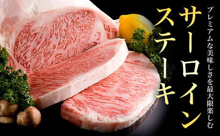 熊本県産 黒毛和牛 サーロイン ステーキ 計400g(100g×4)《90日以内に出荷予定(土日祝除く)》 国産 牛肉