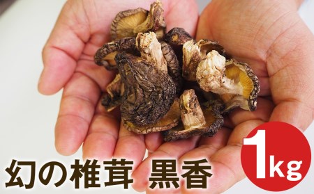 幻の椎茸 黒香 1kg 希少品種の乾燥椎茸 しいたけ きのこ 熊本県菊池市 ふるさと納税サイト ふるなび