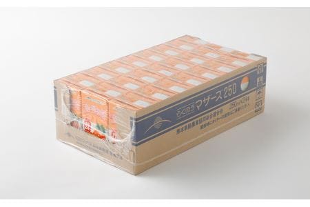 フルーツミックス 1ケース（250ml×24本）ミックスジュース 乳飲料 らくのうマザーズ