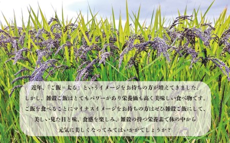 熊本県菊池産 七城物語 有機黒米（玄米）合計900g（180g×5パック）