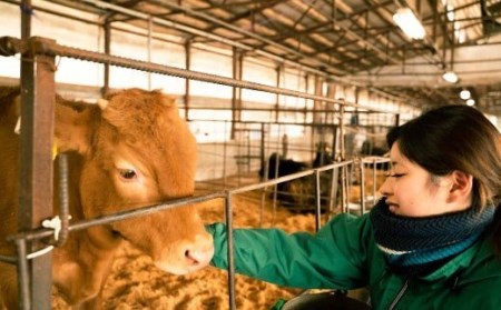 熊本県産 和牛 くまもとあか牛 ロース ブロック 1kg 牛肉 赤牛 | 熊本