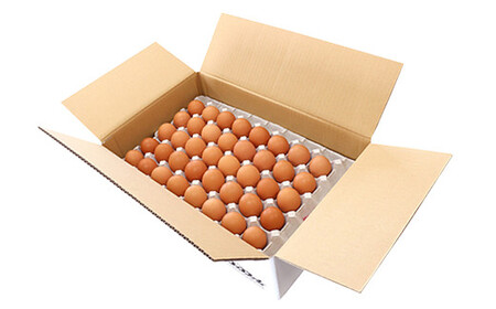 純国産鶏 コッコファーム の たまご 80個入 卵 玉子 鶏卵