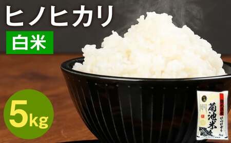 熊本県菊池産 ヒノヒカリ 5kg 精米 お米 白米 令和5年産 | 熊本県菊池