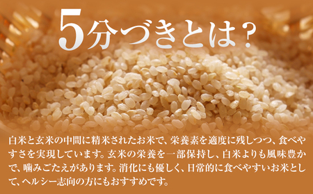 熊本県菊池産 ヒノヒカリ 5kg 5分づき米 お米 分づき米 《30日以内に出荷予定（土日祝除く）》