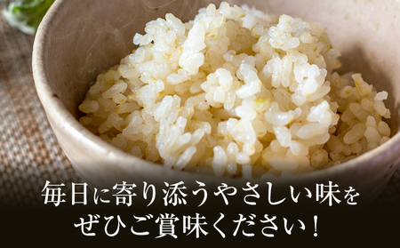 熊本県菊池産 ヒノヒカリ 5kg 5分づき米 お米 分づき米 《30日以内に出荷予定（土日祝除く）》