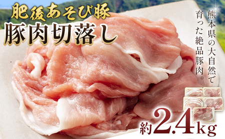 肥後あそび豚切落し 2.4kg 株式会社さつま屋産業《90日以内に出荷予定(土日祝除く)》 ぶた ブタ 豚肉 肉 ブランド豚 切り落とし 国産 九州産 熊本県産 菊池市産 冷凍 送料無料