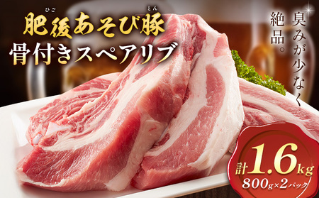 肥後あそび豚 骨付き スペアリブ 800g×2パック 合計1.6kg 《90日以内に出荷予定(土日祝除く)》株式会社さつま屋産業 ぶた ブタ 豚肉 肉 ブランド豚 骨付き肉 スペアリブ 国産 九州産 熊本県産 菊池市産 冷凍 送料無料