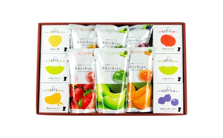 【2026年4月下旬発送開始】フルーツゼリー&ゼリーシャーベット6個セット【メロンドーム】