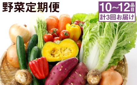 【定期便3回発送】旬の野菜便 野菜（10～12品） キャベツ 菊芋 ミニトマト【養生市場】