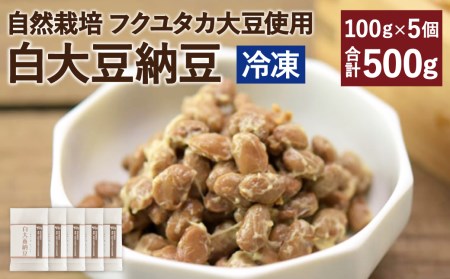 きくち村の白大豆納豆 100g×5個 合計500g 自然栽培 フクユタカ大豆使用