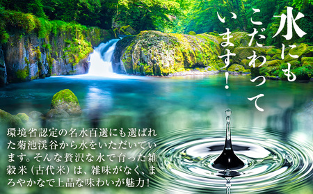 きくち古代米・もち麦 セットA【ファームきくち】 四穀 八穀 500g×1パック もち麦 200g×1パック セット 有限会社七城町特産品センター《90日以内に出荷予定(土日祝除く)》熊本県 菊池市 雑穀米 お米 米 もち麦 菊池市産 熊本県産 九州産