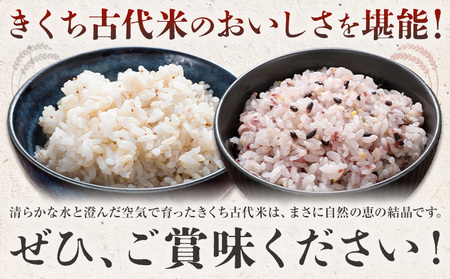 きくち古代米・もち麦 セットA【ファームきくち】 四穀 八穀 500g×1パック もち麦 200g×1パック セット 有限会社七城町特産品センター《90日以内に出荷予定(土日祝除く)》熊本県 菊池市 雑穀米 お米 米 もち麦 菊池市産 熊本県産 九州産