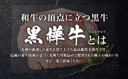 くまもと黒毛和牛 杉本本店 黒樺牛 A4～A5等級 ロースステーキ 200g×2 計400g