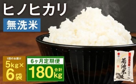 【定期便6ヶ月】熊本県菊池産 ヒノヒカリ 無洗米 計180kg（5kg×6袋×6回）精米 お米 白米