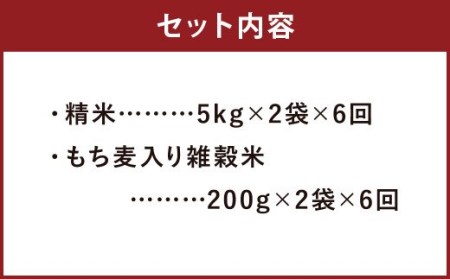 【定期便6ヵ月】熊本県菊池産 ヒノヒカリ 精米 計60kg(10kg×6) もち麦入り雑穀米 計2.4kg(400g×6) 米 お米 低温保管 残留農薬ゼロ