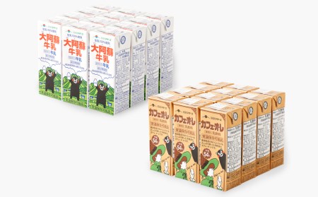 大阿蘇牛乳 1ケース(200ml×12本) カフェオレ 1ケース(200ml×12本) セット 計4.8L