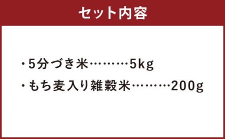 熊本県菊池産 ヒノヒカリ 5分づき米 5kg もち麦入り雑穀米 200g 計5.2kg