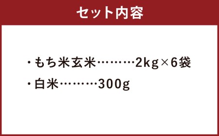 熊本県 菊池産 もち米 玄米 2kg×6袋 白米 300g 計12.3kg ヒヨクモチ