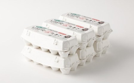 【3回定期便】 にんにくたまご 60個×1ケース 毎月(計3回) たまご 卵